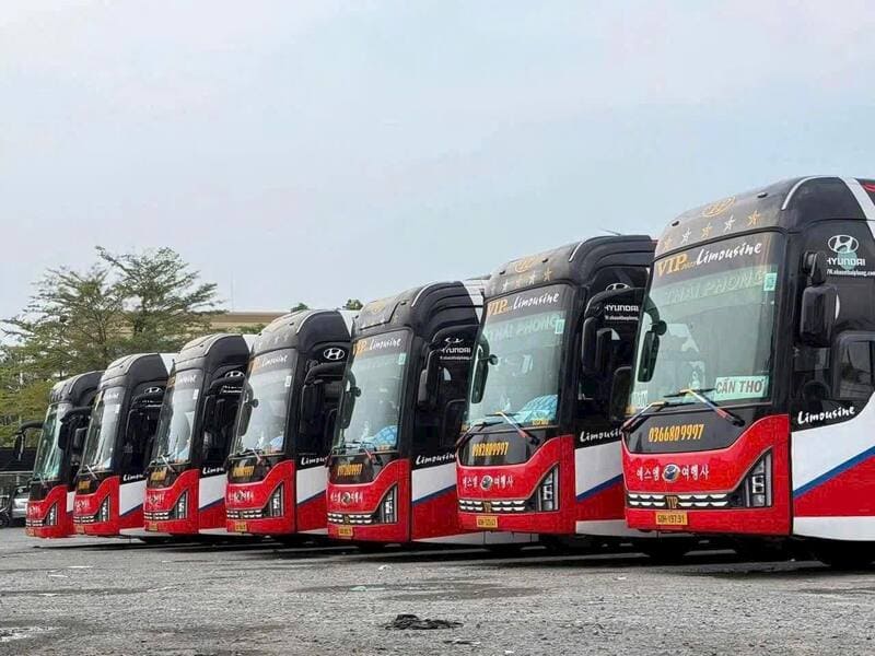 Nhà xe Thái Phong Đồng Nai An Giang Hậu Giang Cà Mau Kiên Giang