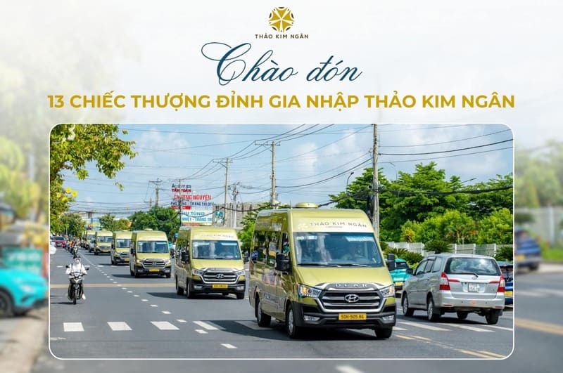 Nhà xe Thảo Kim Ngân Tây Ninh đi Sài Gòn Cần Thơ Kiên Giang